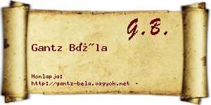Gantz Béla névjegykártya